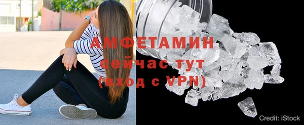 спайс Богданович