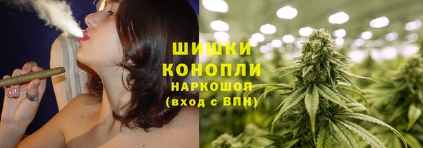 спайс Богданович