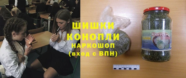 спайс Богданович