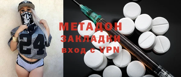 прущие грибы Саяногорск