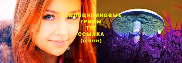 кокс Беломорск