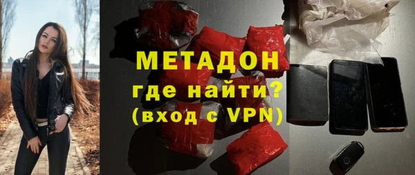прущие грибы Саяногорск